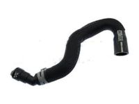 OEM 2009 Mercury Sable Lower Hose - 8G1Z-8286-B