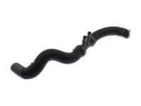 OEM 2019 Ford F-150 Upper Hose - HL3Z-8260-C