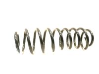 OEM 2014 Ford Mustang Coil Spring - BR3Z-5560-C