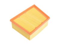 OEM 2022 Ford EcoSport Air Filter - GN1Z-9601-A