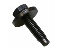 OEM Ford Door Check Bolt - -W702434-S450B