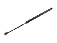 OEM 2014 Ford F-150 Lift Cylinder - 9L3Z-16624B75-A