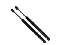 OEM Ford Support Strut - DG1Z-54406A10-A