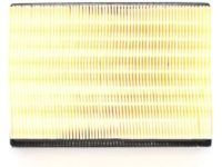 OEM Mercury Filter Element - YF1Z-9601-AA