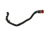 OEM 2015 Ford Expedition Lower Hose - BL3Z-6C646-A