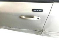 OEM 2002 Lincoln LS Handle, Outside - 6W4Z-5422405-APTM