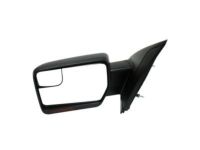 OEM 2011 Ford F-150 Mirror Outside - BL3Z-17683-DAPTM