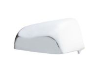 OEM 2014 Ford F-150 Mirror Cover - 8C3Z-17D742-AA