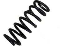 OEM 2020 Ford Fusion Coil Spring - DG9Z-5560-S