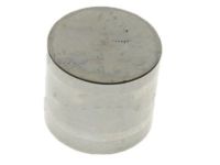 OEM Mercury Valve Lifters - CP9Z-6500-ABB
