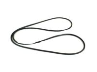 OEM Ford Fiesta Glass Weatherstrip - YS4Z-6151884-AA