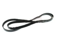 OEM Ford Focus Serpentine Belt - 98BZ-8620-CC