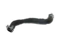 OEM Ford Focus Lower Hose - 8S4Z-8286-A