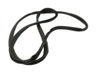 OEM Ford Transit-350 HD Surround Weatherstrip - CK4Z-6120708-B
