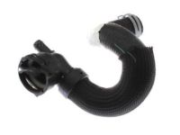 OEM 2018 Ford Escape Upper Hose - CV6Z-8286-M