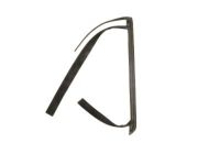 OEM 2016 Ford Focus Window Channel - DM5Z-5825766-A