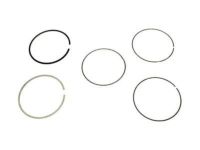 OEM 2015 Ford Fiesta Piston Rings - BE8Z-6148-A