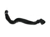 OEM 2016 Ford Escape Lower Hose - CV6Z-8260-M