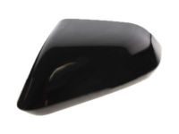 OEM 2017 Lincoln MKZ Mirror Cover - DP5Z-17D743-AAPTM
