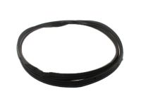 OEM Lincoln Weatherstrip - 7L1Z-7842084-BD