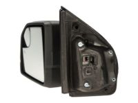 OEM 2016 Ford F-150 Mirror Assembly - FL3Z-17683-CC