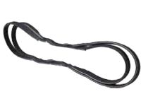 OEM 2013 Ford Edge Serpentine Belt - BT4Z-8620-F