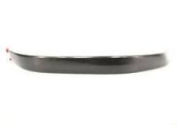 OEM 2004 Ford F-350 Super Duty Body Side Molding - 5C3Z-2625532-AAJ