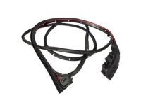 OEM 2017 Ford F-150 Door Weatherstrip - FL3Z-1520530-A