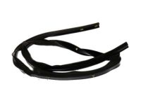 OEM 2006 Mercury Mountaineer Lower Seal Strip - 8L2Z-78253A45-A