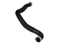 OEM 2008 Ford Edge Lower Hose - AT4Z-8286-A