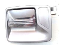 OEM 2014 Ford F-250 Super Duty Handle, Outside - DC3Z-3626605-BA