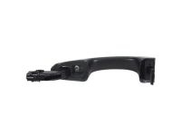 OEM 2019 Ford Edge Handle, Outside - JS7Z-5422405-CAPTM