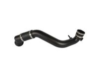 OEM Ford F-150 Outlet Hose - FL3Z-6F073-A