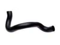 OEM 1997 Ford Explorer Lower Hose - F5TZ-8286-D