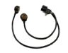 Ford 1L2Z-12A699-AA