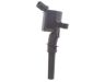 Ford 1L2Z-12029-AA