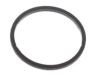 Ford 2L1Z-2152-AA