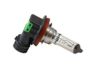 Ford 2C5Z-13N021-AA