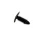 Mercury -W705589-S