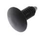 Mercury -W705589-S