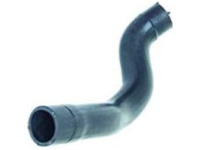 GM 92157811 Upper Hose