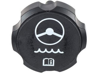 GM 10317982 Reservoir Cap