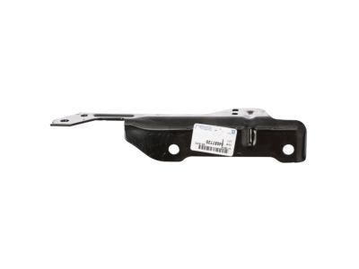 GM 84087720 Hinge