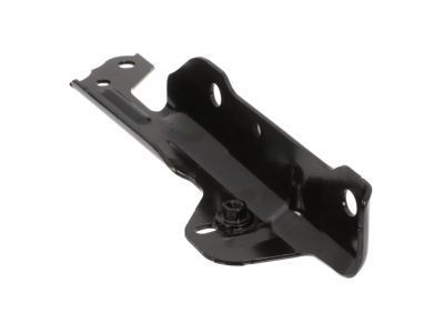 GM 84087720 Hinge