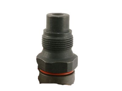 GM 10233973 Injection Nozzle