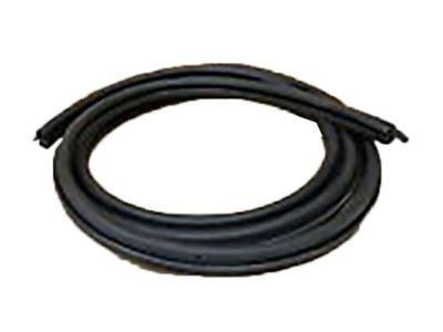 GM 12536417 Weatherstrip