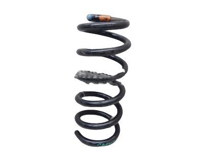 GM 15815635 Spring, Front