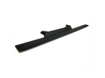 GM 10365161 Sill Plate