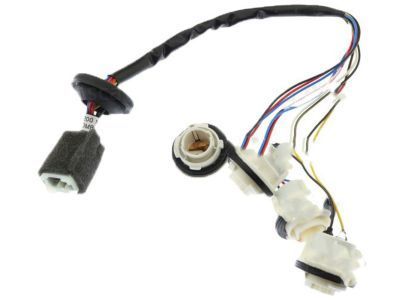 GM 96499311 Socket & Wire