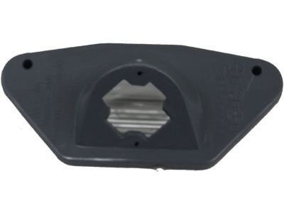 GM 16519986 License Lamp